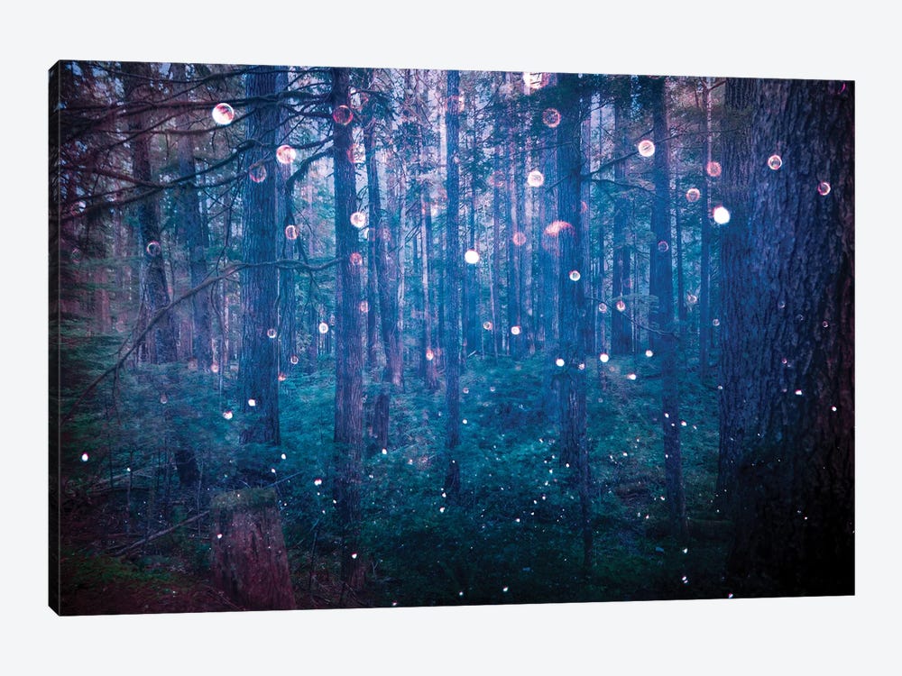 Adventure In The Woods by Nature Magick 1-piece Art Print