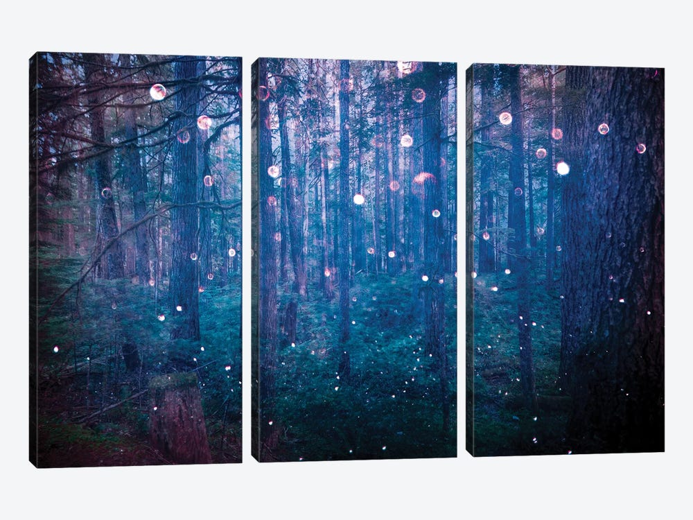 Adventure In The Woods by Nature Magick 3-piece Canvas Print