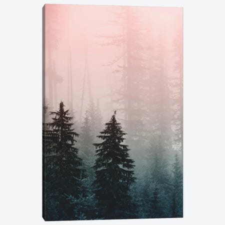 Mountain Forest Triptych III Canvas Print #MGK577} by Nature Magick Canvas Art Print