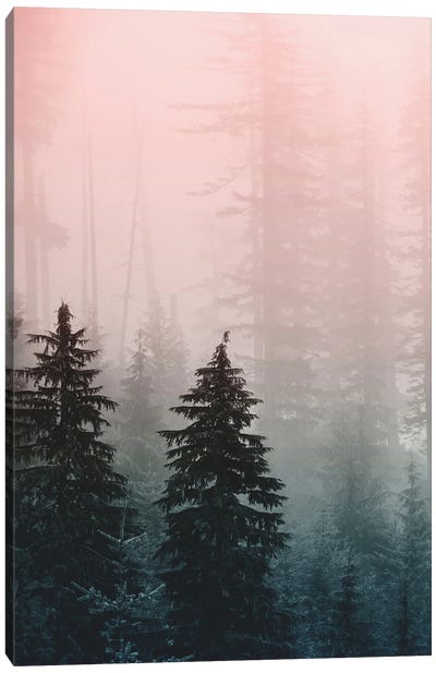 Mountain Forest Triptych III Canvas Art Print - Mist & Fog Art