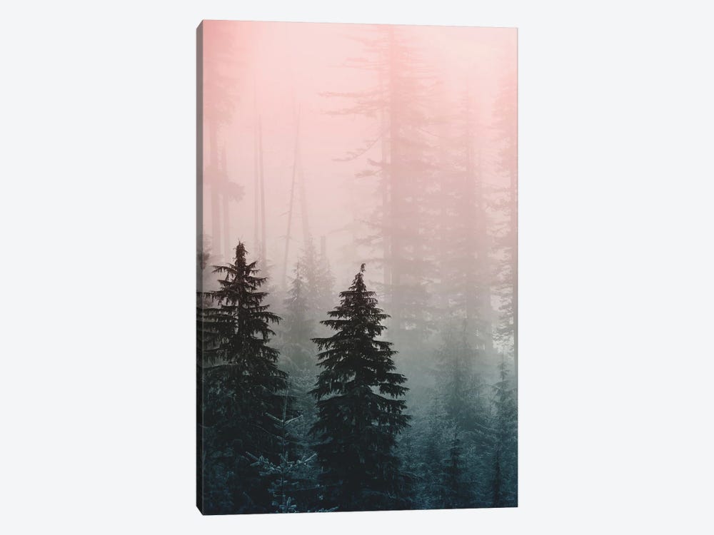 Mountain Forest Triptych III by Nature Magick 1-piece Canvas Wall Art