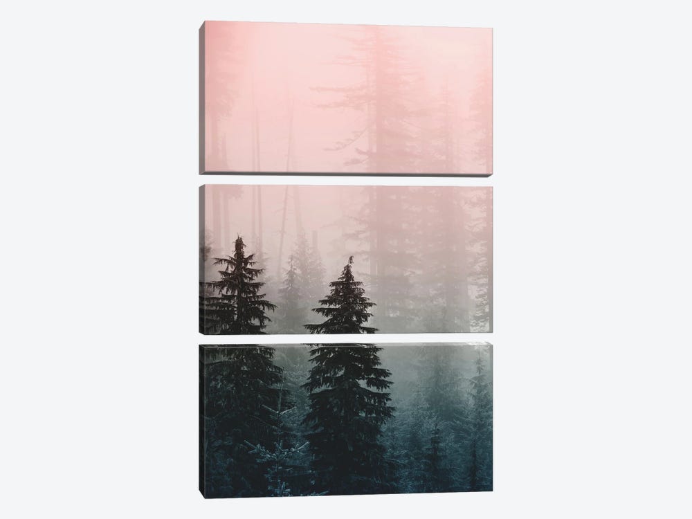 Mountain Forest Triptych III by Nature Magick 3-piece Canvas Art