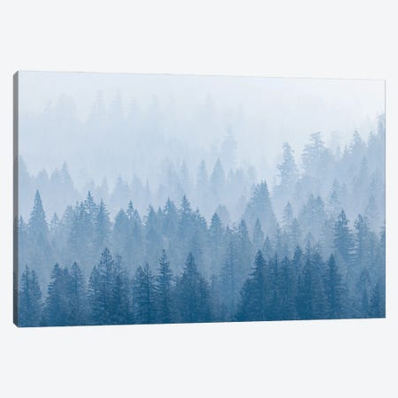 Frosty Mountain Forest Blue Foggy Trees Canvas Print #MGK586} by Nature Magick Canvas Artwork