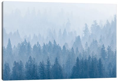 Frosty Mountain Forest Blue Foggy Trees Canvas Art Print - Mist & Fog Art