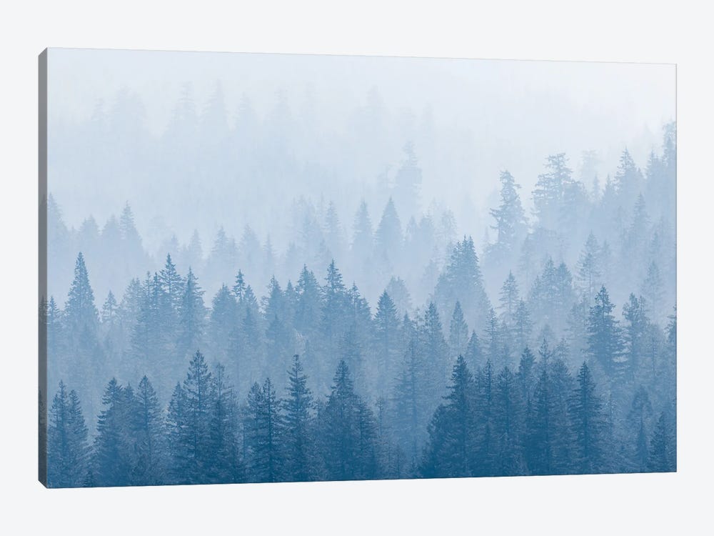 Frosty Mountain Forest Blue Foggy Trees by Nature Magick 1-piece Canvas Art