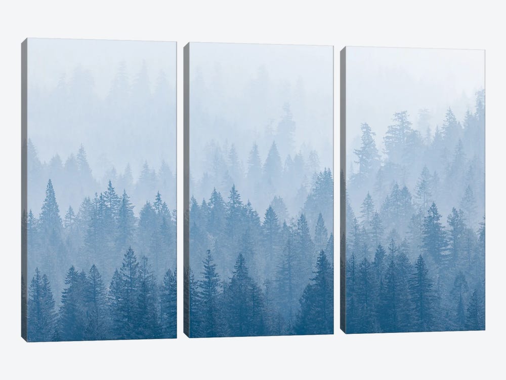 Frosty Mountain Forest Blue Foggy Trees by Nature Magick 3-piece Canvas Art