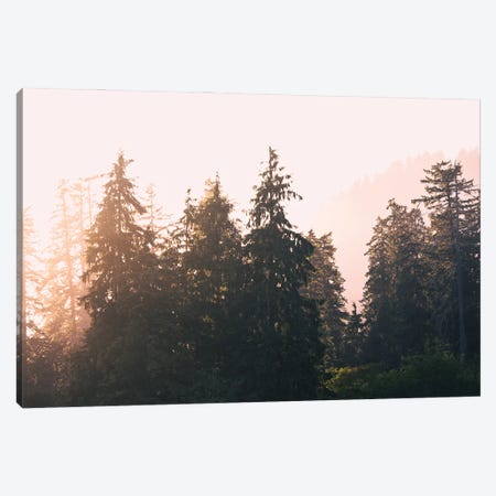 Sunset In Paradise Pastel Forest Melody Canvas Print #MGK587} by Nature Magick Canvas Artwork