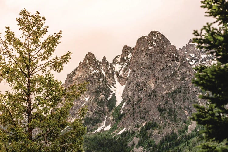 Grand Teton National Park Vintage Sunset