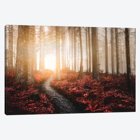 Forest Fairy Tale Foggy Mountain Trees Canvas Print #MGK597} by Nature Magick Canvas Print