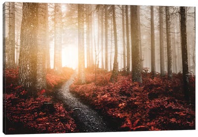 Forest Fairy Tale Foggy Mountain Trees Canvas Art Print - Mist & Fog Art