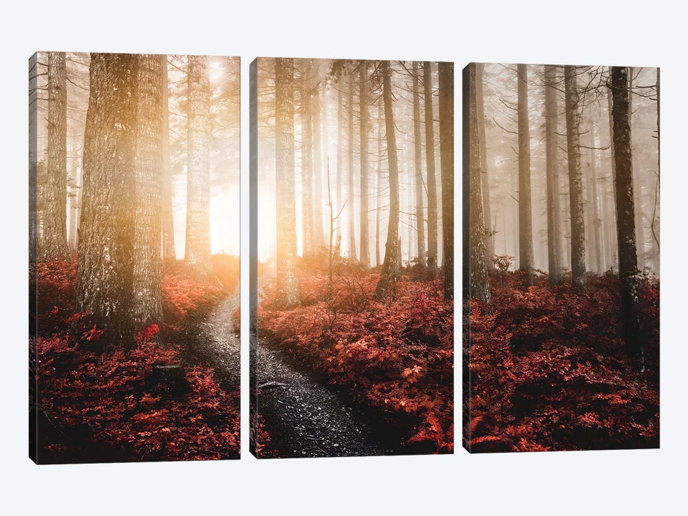 Forest Fairy Tale Foggy Mountain Trees by Nature Magick 3-piece Canvas Wall Art