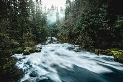 Pacific Northwest River And Trees II by Nature Magick framed canvas print