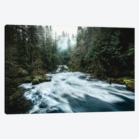 Pacific Northwest River And Trees II Canvas Print #MGK599} by Nature Magick Canvas Art