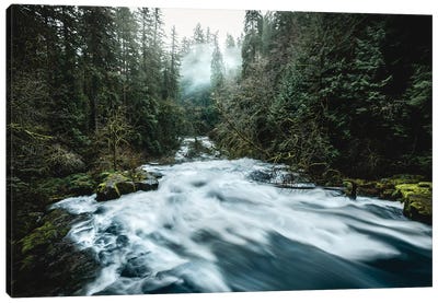 Pacific Northwest River And Trees II Canvas Art Print - Nature Magick