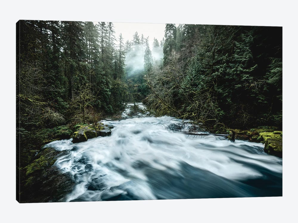 Pacific Northwest River And Trees II by Nature Magick 1-piece Canvas Art
