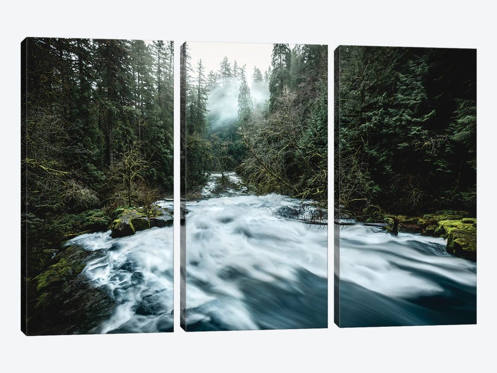 Pacific Northwest River And Trees II by Nature Magick 3-piece Canvas Art
