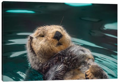 Cute Sea Otter Fun Ocean Animals Canvas Art Print - Otters