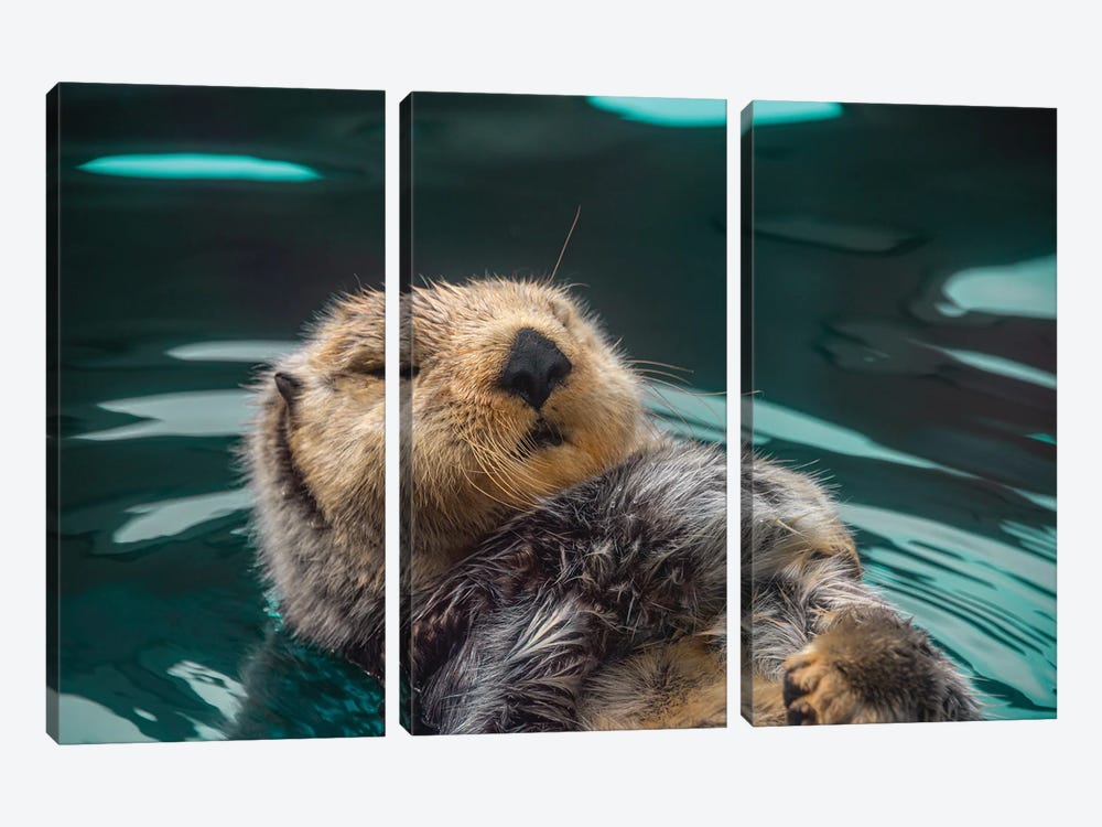 Cute Sea Otter Fun Ocean Animals by Nature Magick 3-piece Canvas Artwork
