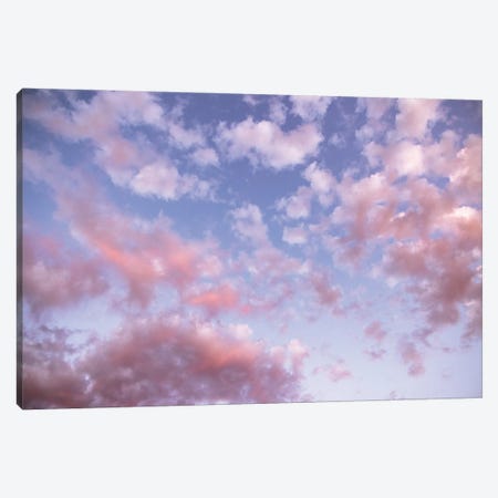 Cotton Candy Sky Pink And Blue Sunset Canvas Print #MGK603} by Nature Magick Canvas Wall Art