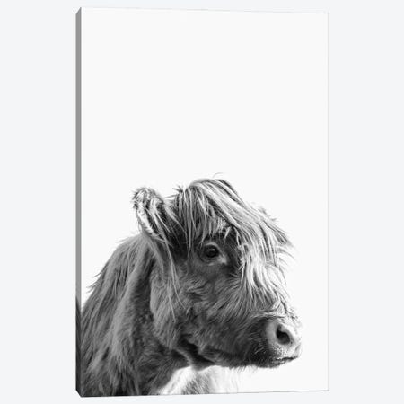 Highland Cattle Portrait Canvas Print #MGK610} by Nature Magick Art Print