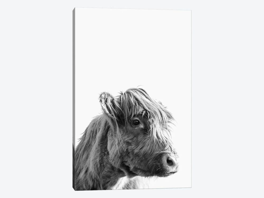 Highland Cattle Portrait by Nature Magick 1-piece Art Print