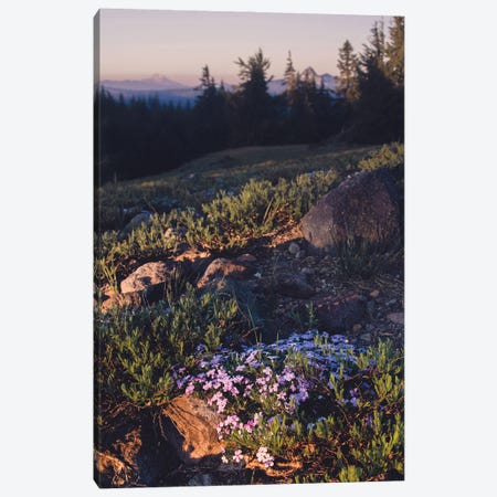 Mountain Hiking Purple Wildflower Sunset Canvas Print #MGK612} by Nature Magick Canvas Print