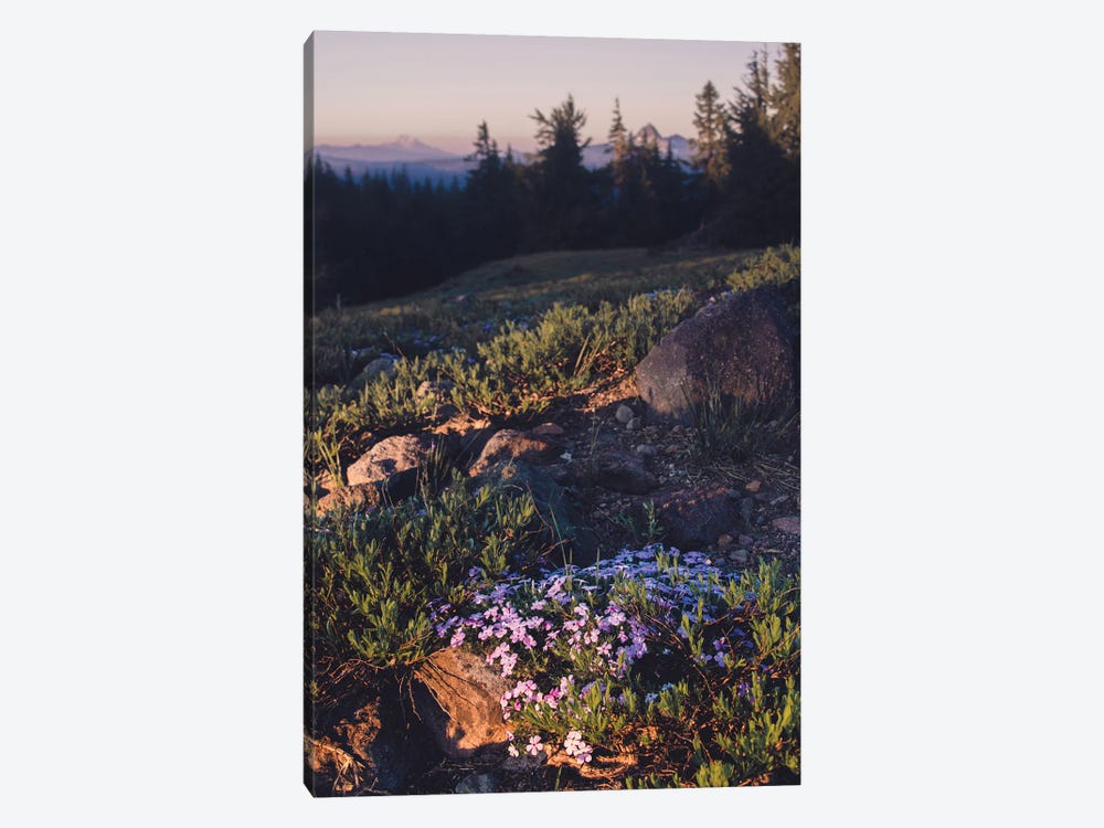 Mountain Hiking Purple Wildflower Sunset by Nature Magick 1-piece Art Print