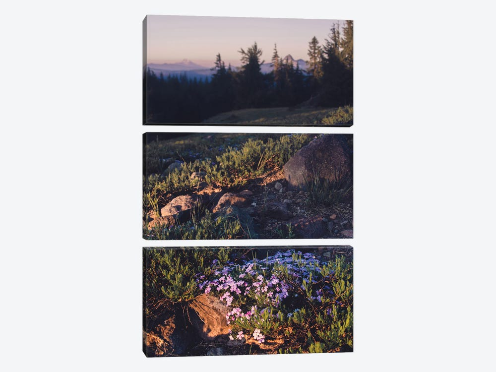Mountain Hiking Purple Wildflower Sunset by Nature Magick 3-piece Art Print
