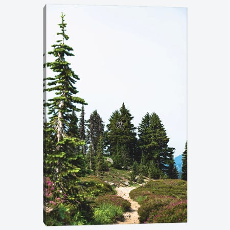 Mountain Wildflower Hiking Canvas Print #MGK617} by Nature Magick Canvas Wall Art