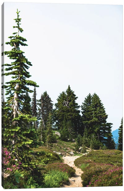 Mountain Wildflower Hiking Canvas Art Print - Take a Hike