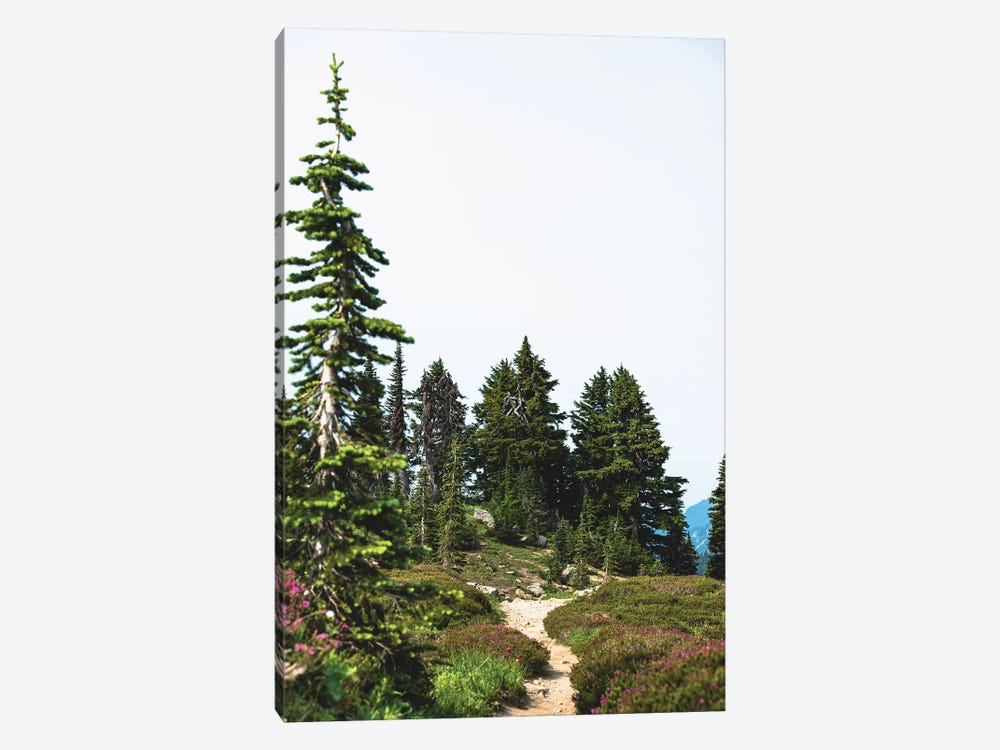 Mountain Wildflower Hiking by Nature Magick 1-piece Canvas Wall Art