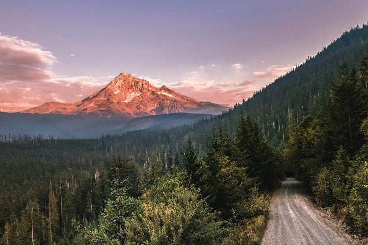 Adventure In The Mountains - Forest Sunset