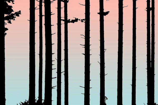 Nature Magick: Coral And Teal Sunset Forest Landscape by Nature Magick