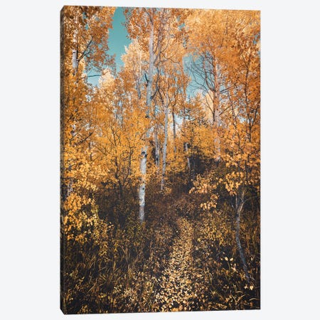 Autumn Forest Path Yellow Leaves On Aspen Trees In The Fall Canvas Print #MGK629} by Nature Magick Canvas Wall Art