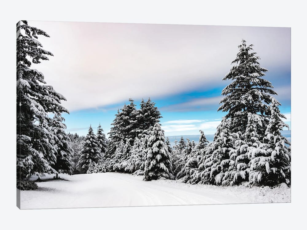Winter Forest Morning Snow Day in the Pacific Northwest by Nature Magick 1-piece Canvas Art