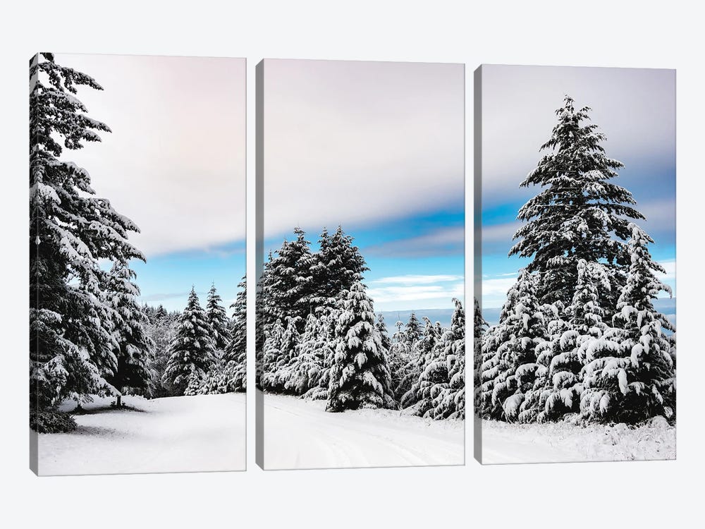 Winter Forest Morning Snow Day in the Pacific Northwest by Nature Magick 3-piece Canvas Art