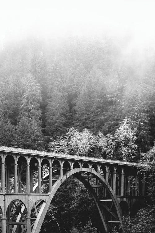 Cape Creek Bridge Hwy 101 Foggy Winter Forest Beach in Black and White