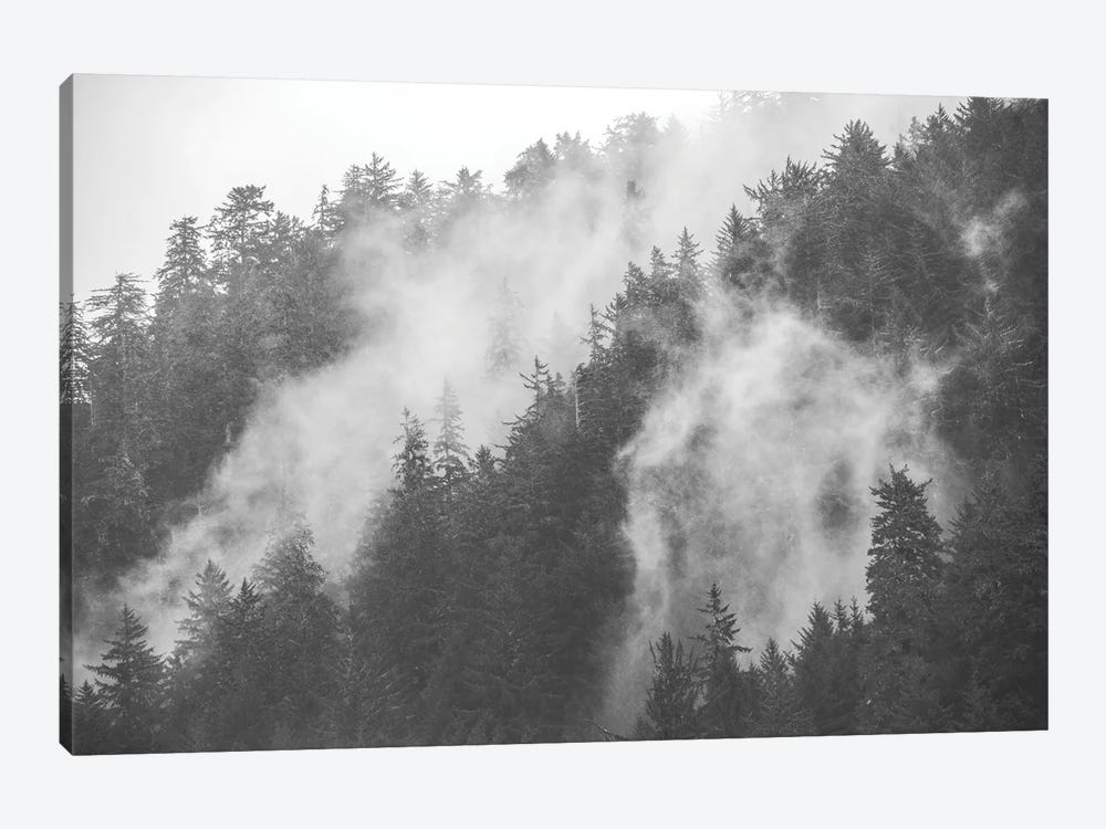 Mysterious Morning Foggy Trees in Redwood National Park by Nature Magick 1-piece Canvas Artwork