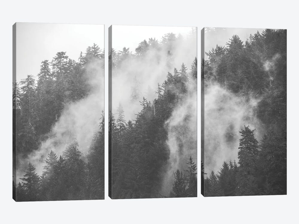Mysterious Morning Foggy Trees in Redwood National Park by Nature Magick 3-piece Canvas Art