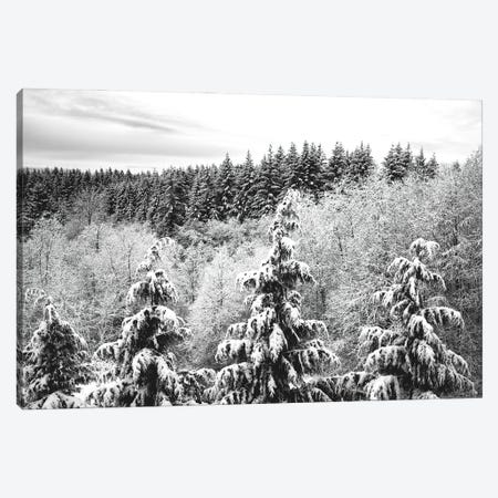 Winter Forest Trees Covered with Snow Canvas Print #MGK637} by Nature Magick Canvas Artwork