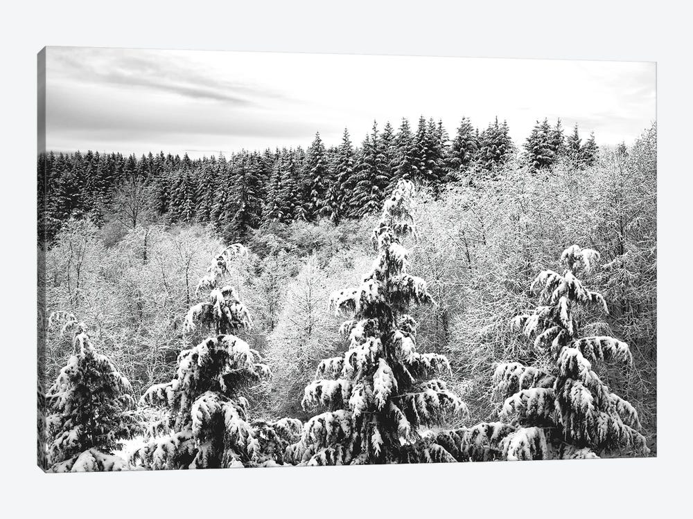 Winter Forest Trees Covered with Snow by Nature Magick 1-piece Canvas Artwork