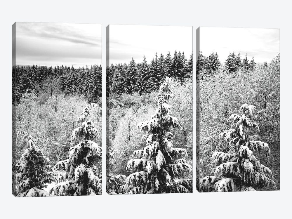 Winter Forest Trees Covered with Snow by Nature Magick 3-piece Canvas Wall Art
