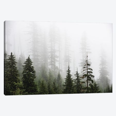 Misty Woods Forest Mountain Trees Canvas Print #MGK638} by Nature Magick Art Print