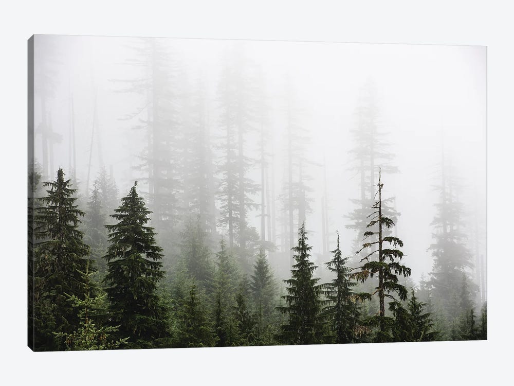 Misty Woods Forest Mountain Trees by Nature Magick 1-piece Canvas Print