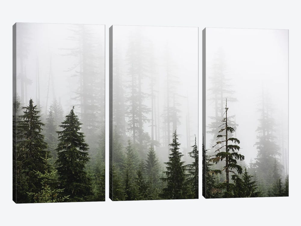 Misty Woods Forest Mountain Trees by Nature Magick 3-piece Art Print