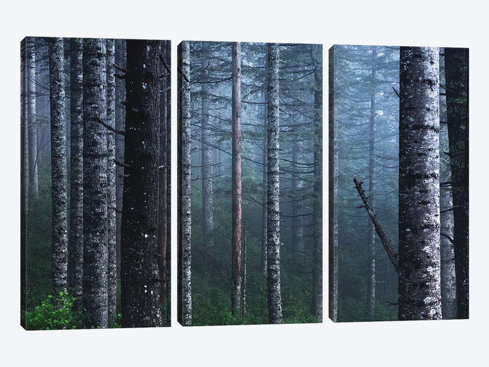 Winter Woods Forest with Snow on Fir Trees by Nature Magick 3-piece Canvas Art