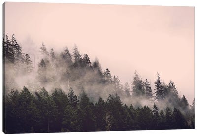 Forest Fog Blush Pink and Green Trees in the Woods Canvas Art Print - Nature Magick