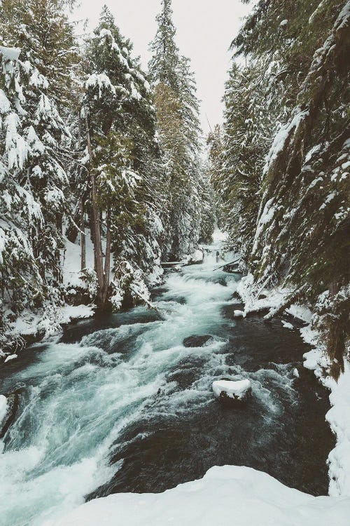 Winter Rushing Ice Water and Snow on the McKenzie River