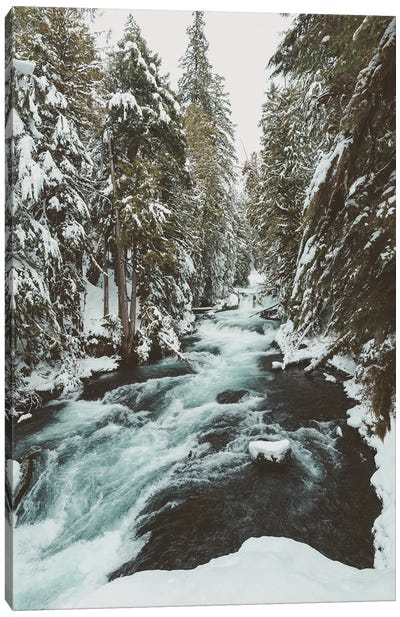 Winter Rushing Ice Water and Snow on the McKenzie River Canvas Art Print - Nature Magick