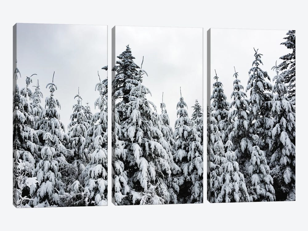 Winter Woods Snow on Fir Trees Forest by Nature Magick 3-piece Art Print